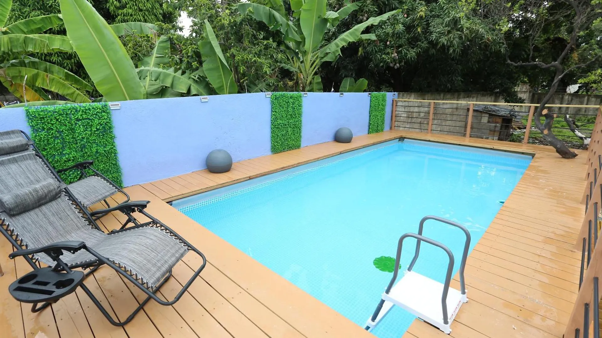 Hidden Gem Apartment Kingston
